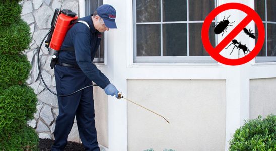 Çamlıyayla Tahtakurusu İlaçlama böcek ilaçlama ve haşere kontrolü — ilaclama-tr.com